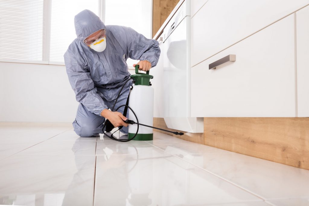 Villa General Pest Control